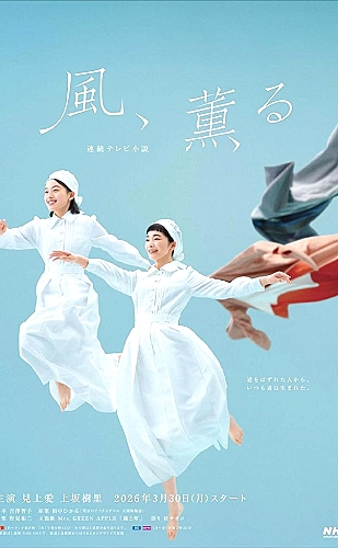 繁花影视资料封面